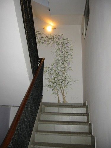 La Nara Turín